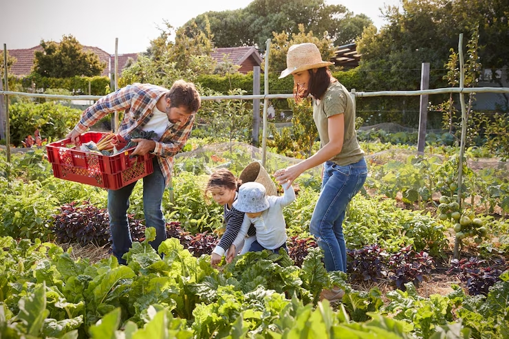 Familia en el campo