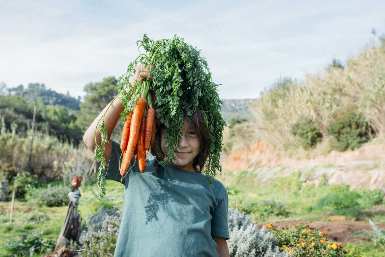 Niño cogiendo zanahorias